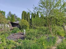 Działka rolno-budowlana Bydgoszcz Piaski, ul. Piaski. Zdjęcie 1