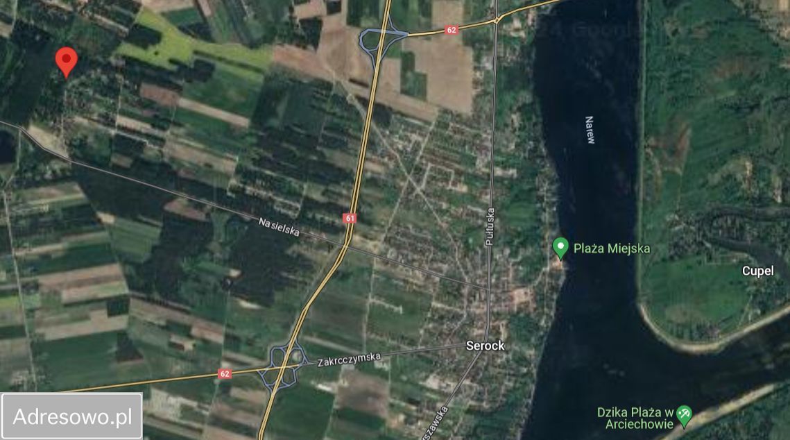 Działka leśna Karolino. Zdjęcie 4