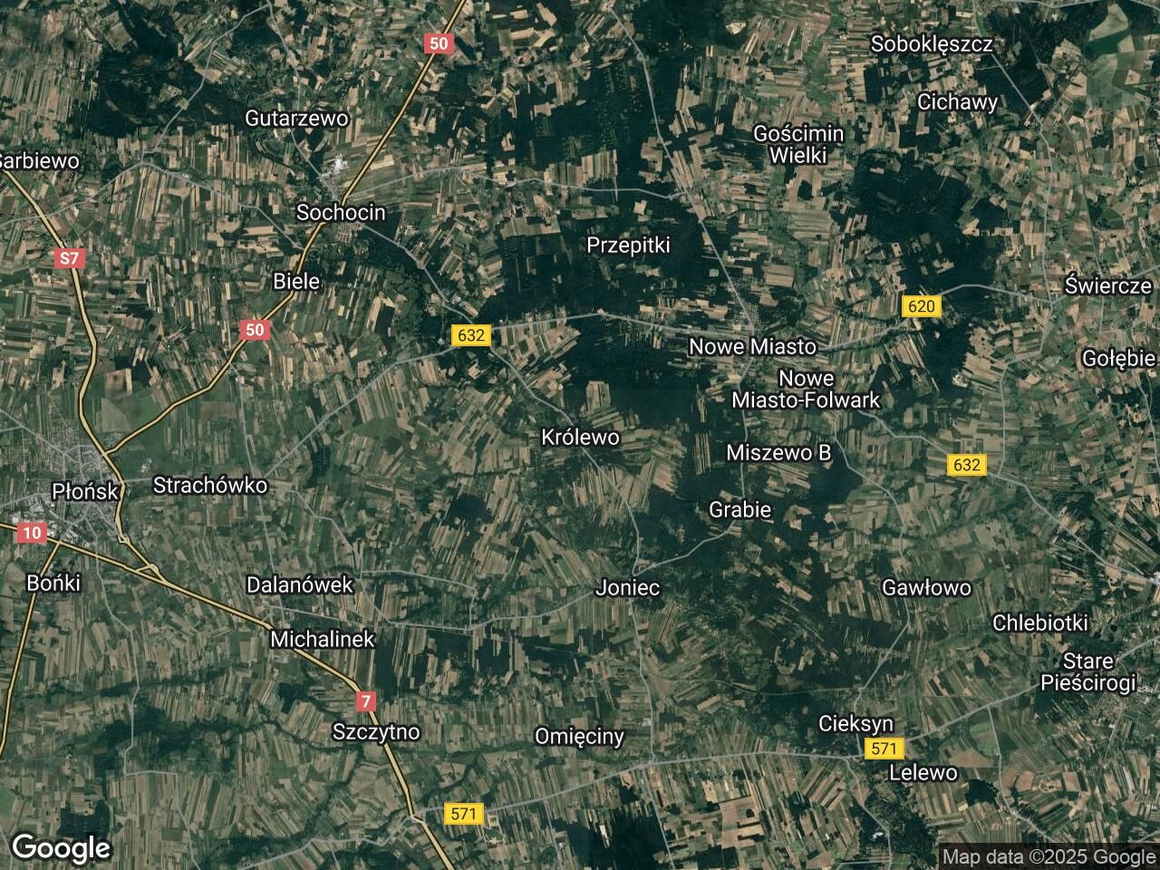 Działka leśna Królewo