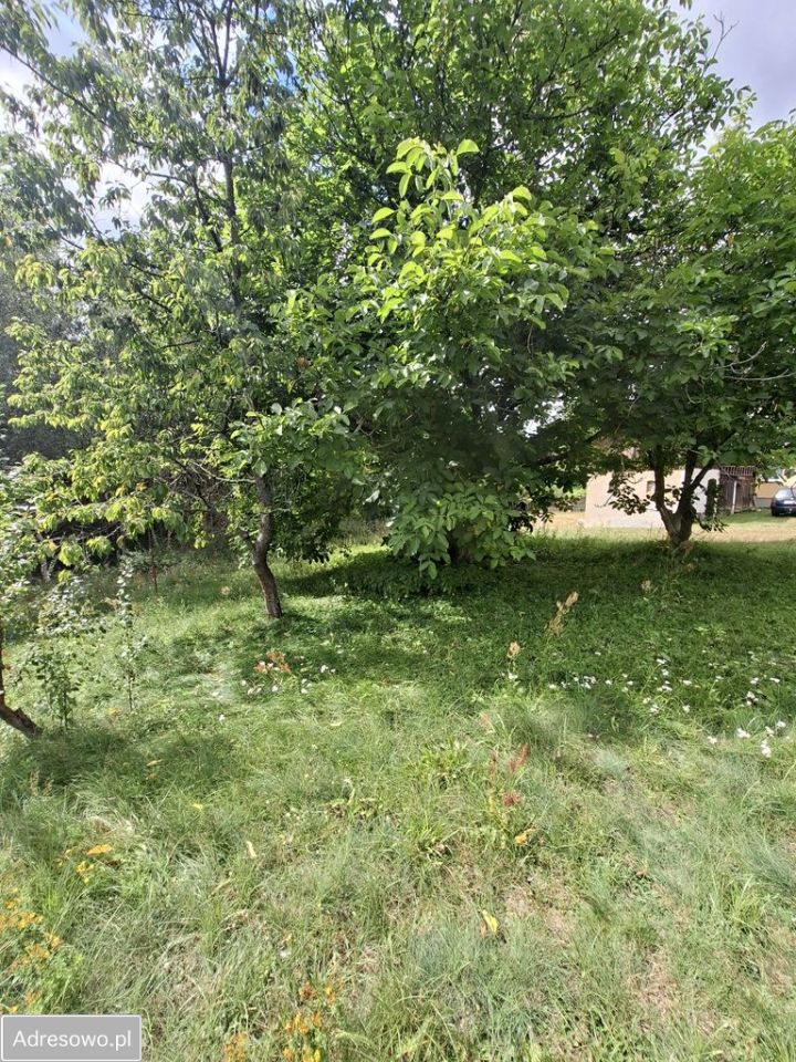 dom wolnostojący, 4 pokoje Złotowo. Zdjęcie 3