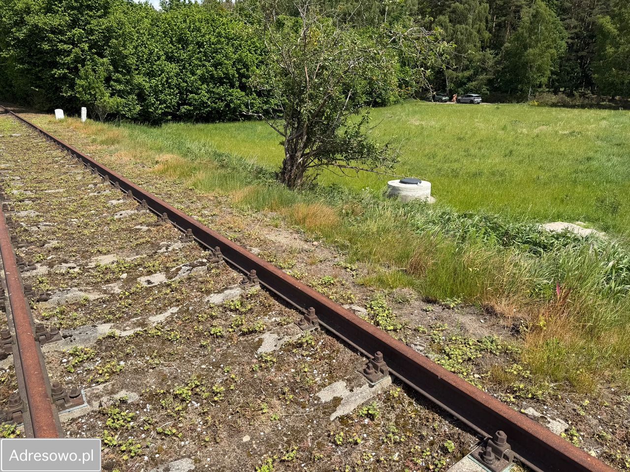 Działka inwestycyjna Dębogórze, ul. Lisia. Zdjęcie 15
