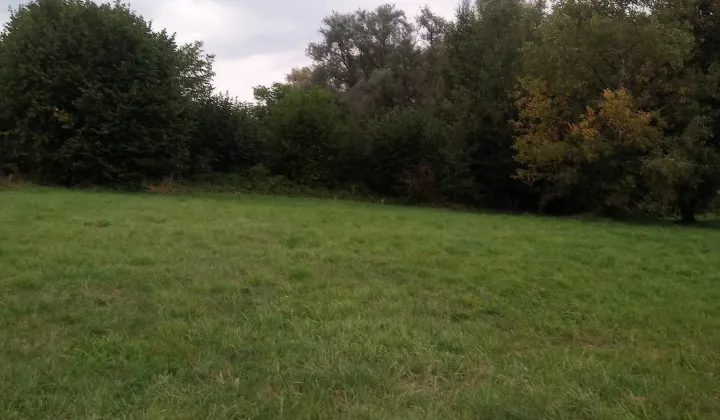 Działka budowlana Trzebinia Siersza, ul. Polna