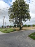 Działka budowlana Gorajec-Zagroble. Zdjęcie 1