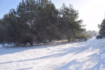 Działka budowlana Sługocice. Zdjęcie 1