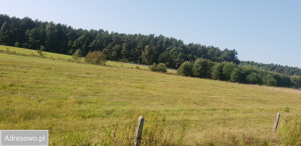 Działka rolna Jagiełła. Zdjęcie 10