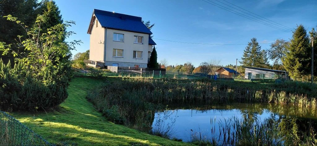 siedlisko Łyśniewo Sierakowickie. Zdjęcie 8