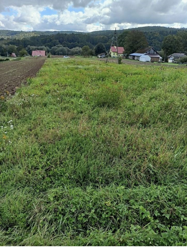 Działka budowlana Słonne. Zdjęcie 2