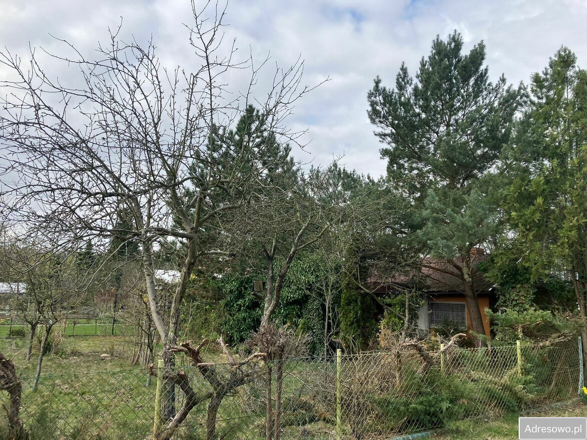 Działka rod Wrocław Pilczyce. Zdjęcie 6