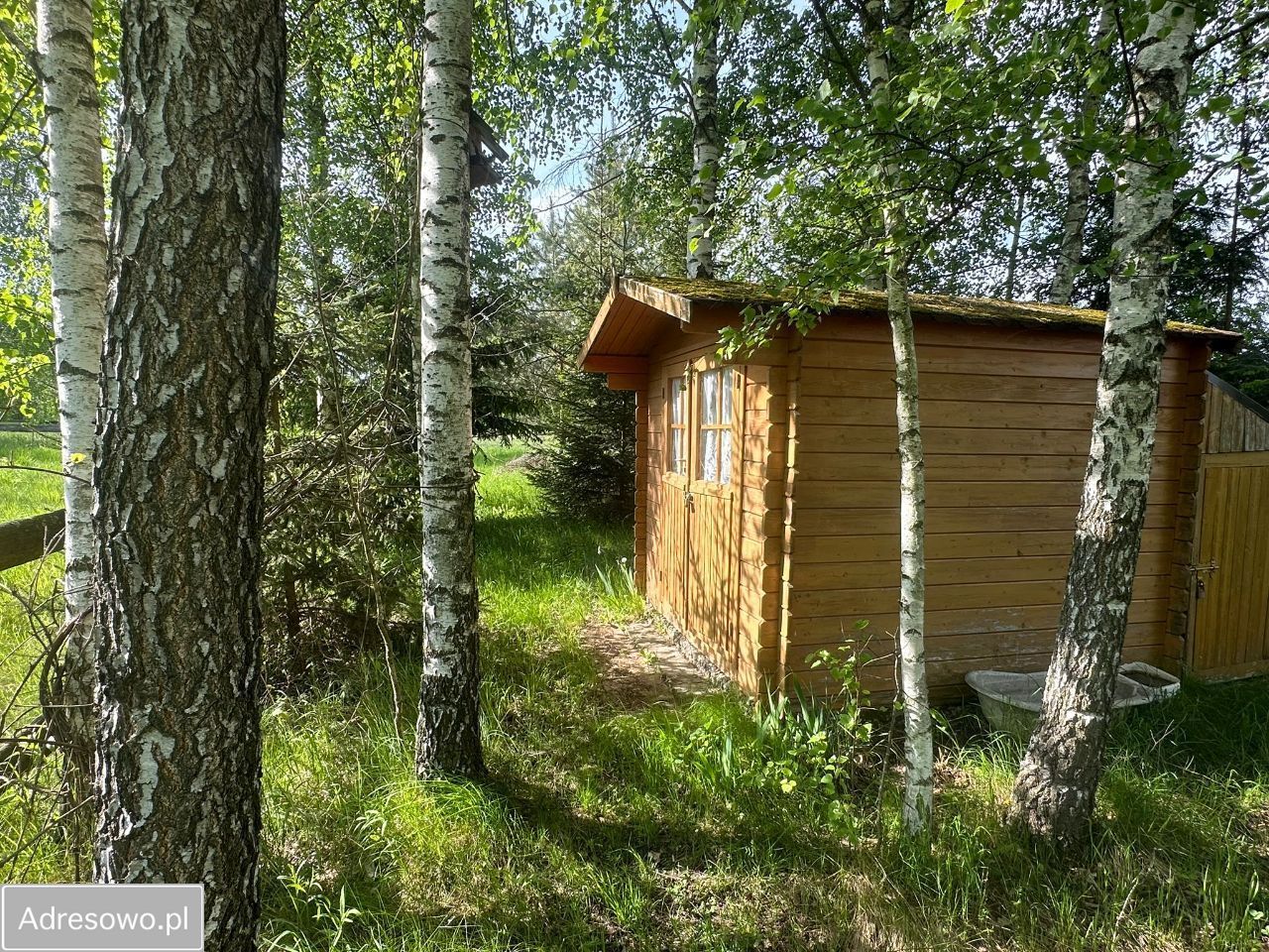 Działka rolna Dubiny. Zdjęcie 8