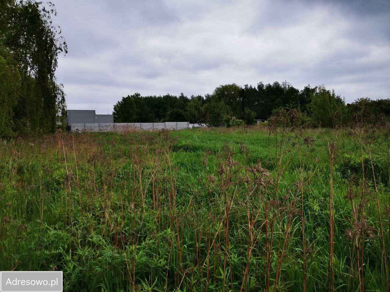 Działka inwestycyjna Wrocław Psie Pole, ul. Polanowicka. Zdjęcie 7