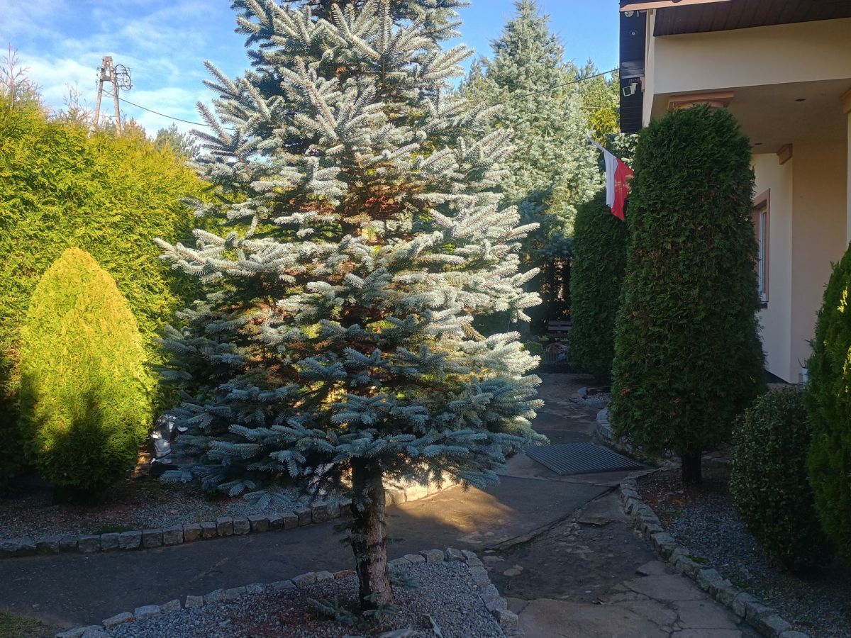 dom wolnostojący, 6 pokoi Kębliny. Zdjęcie 37