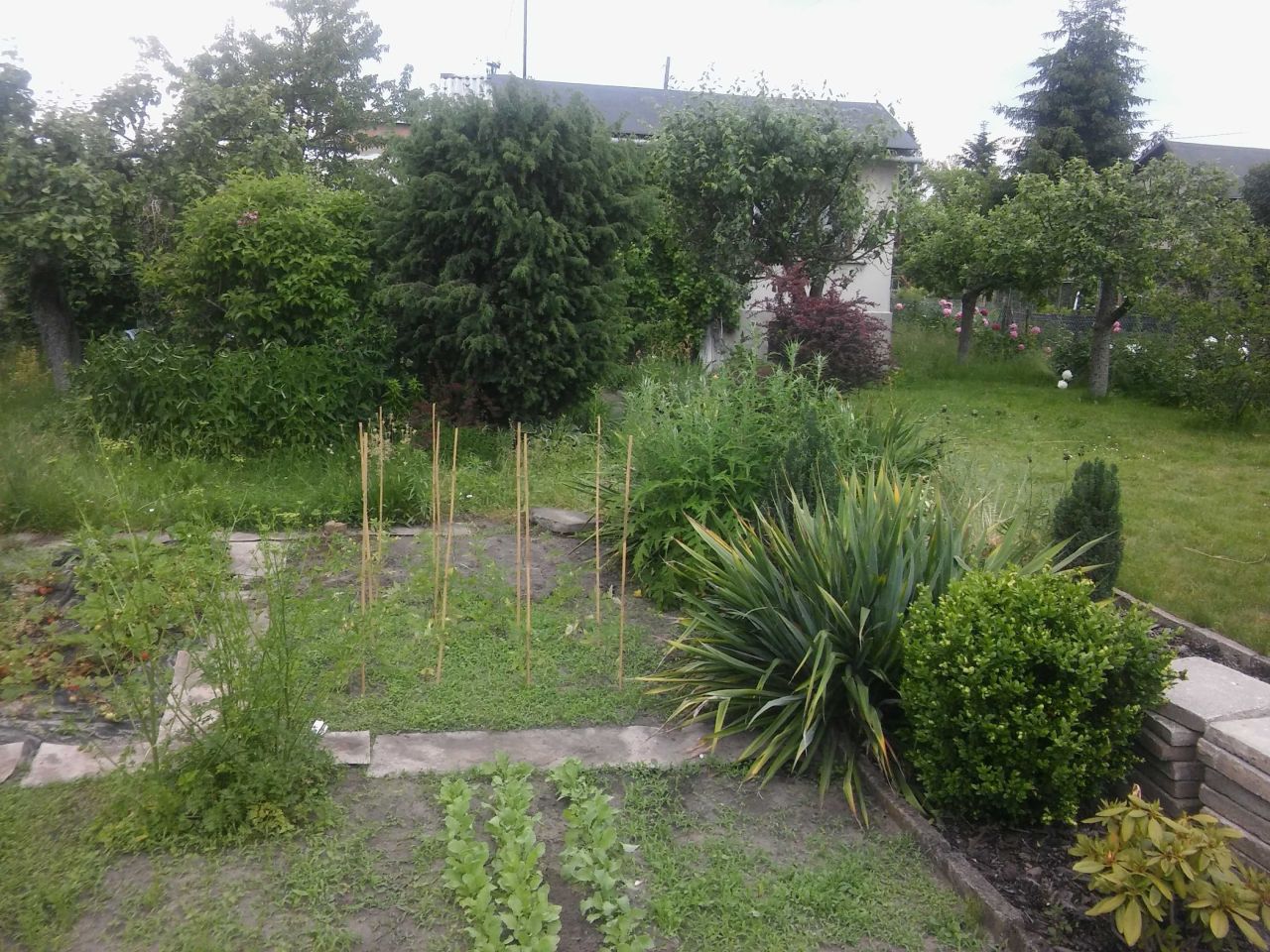 Działka rod Częstochowa Zawodzie, ul. Bratnia. Zdjęcie 2