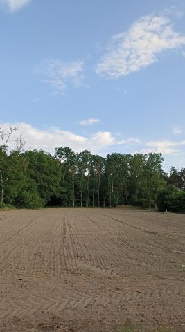 Działka budowlana Karolinowo. Zdjęcie 1