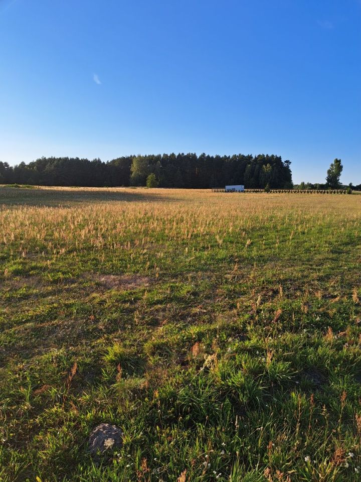 Działka budowlana Ptaszkowice. Zdjęcie 6