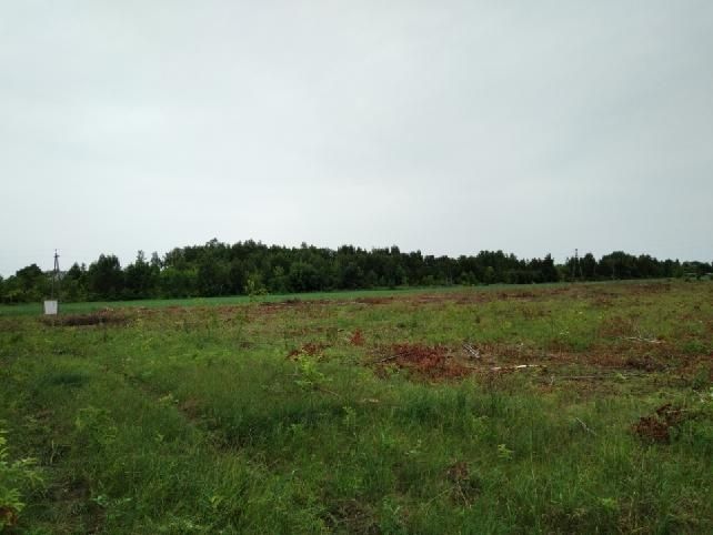 Działka rolno-budowlana Nowe Miasto-Folwark