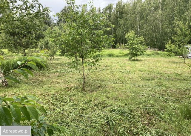 Działka budowlana Książenice. Zdjęcie 1