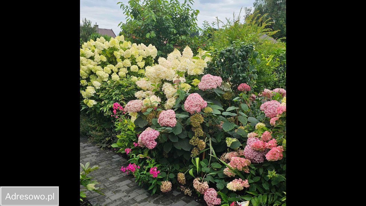 dom letniskowy Olsztyn, ul. Kazimierza Jagiellończyka. Zdjęcie 7