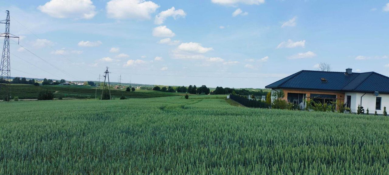 Działka rolna Radomek. Zdjęcie 7