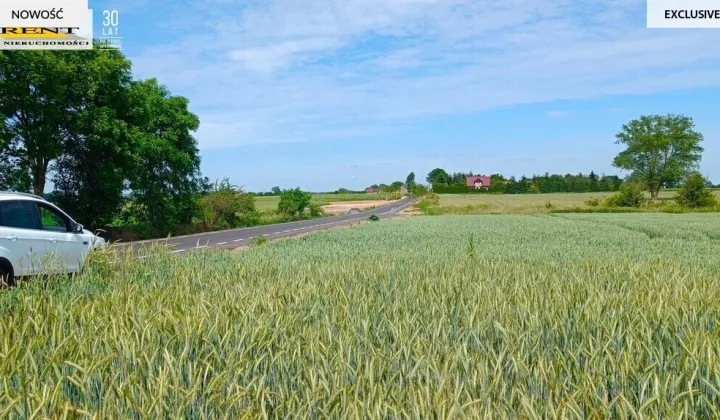 Działka siedliskowa Parsów