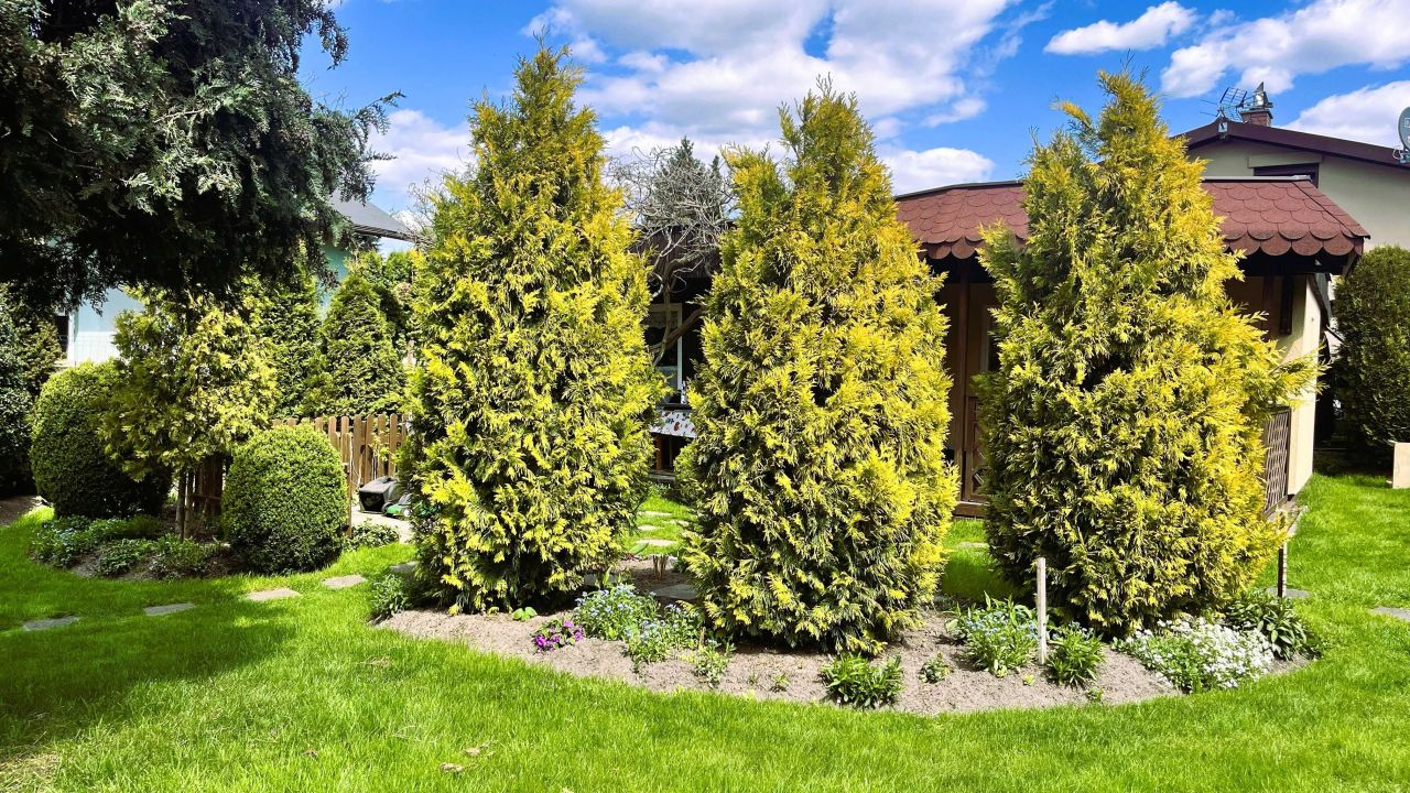 Działka rod Złotniki. Zdjęcie 8