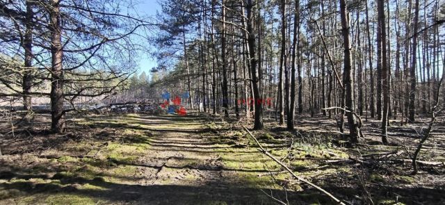 Działka budowlana Prace Duże. Zdjęcie 7