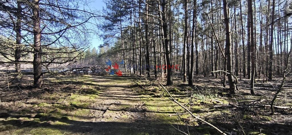 Działka budowlana Prace Duże. Zdjęcie 7