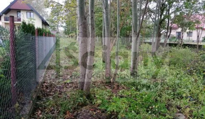 Działka rolna Chotomów