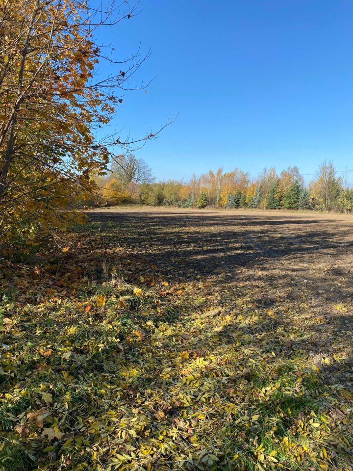 Działka budowlana Biedrzychowice. Zdjęcie 2