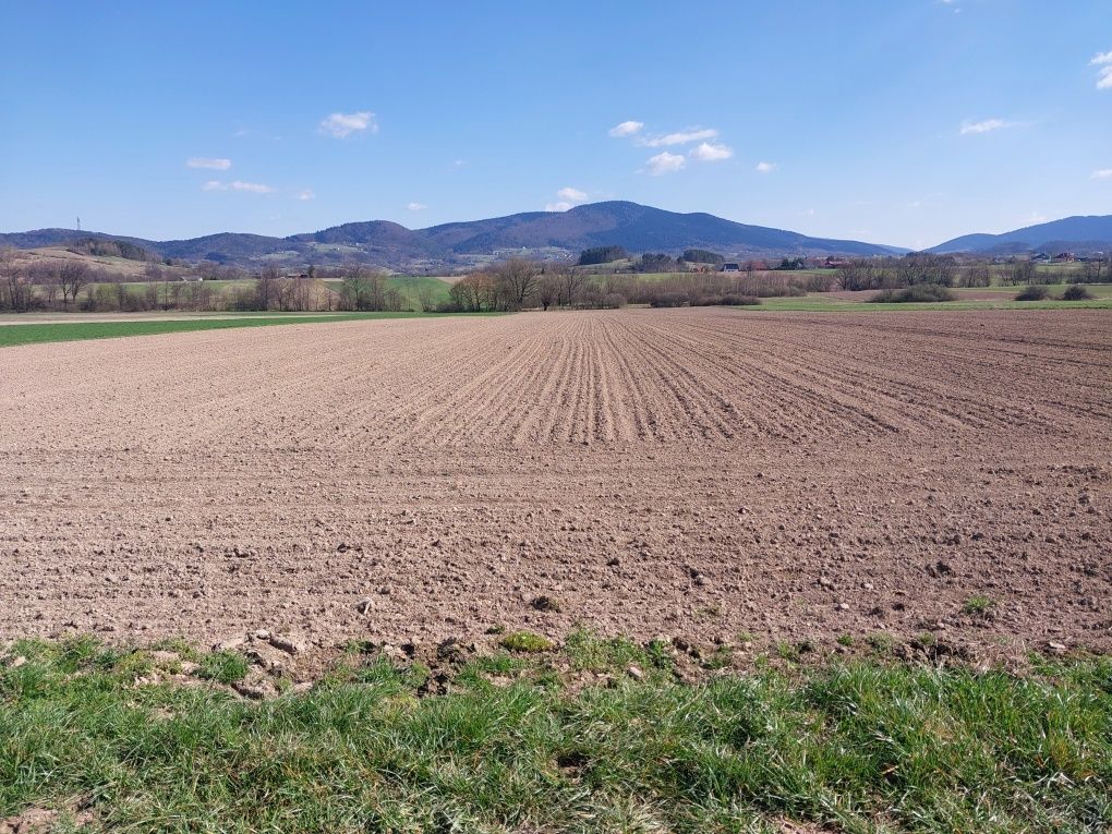 Działka rolna Wiśniowa. Zdjęcie 2