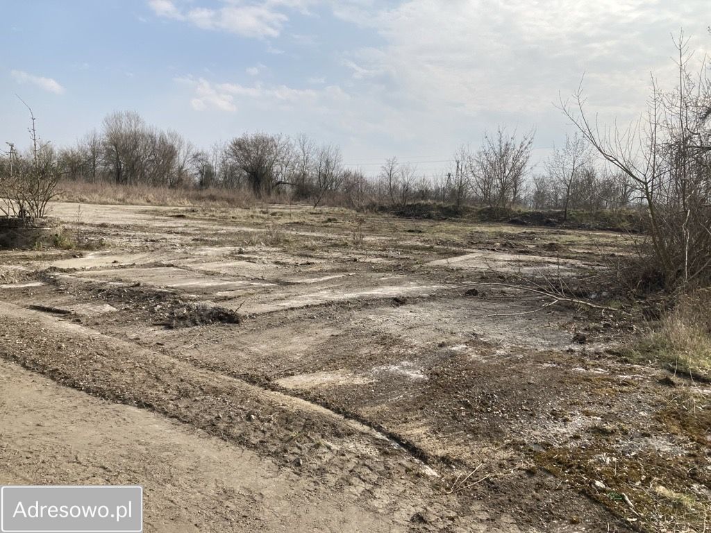 Działka inwestycyjna Rakoszyce. Zdjęcie 6