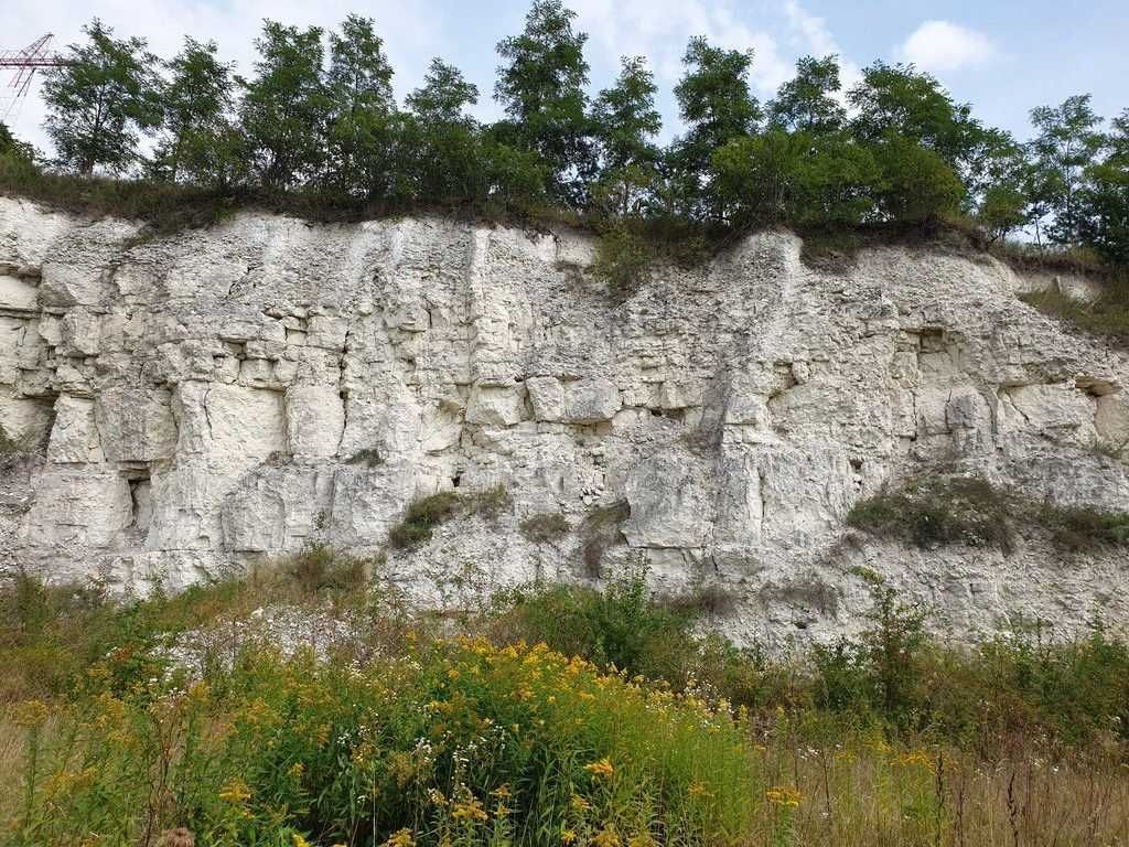 Działka inwestycyjna Opoczka Mała. Zdjęcie 3