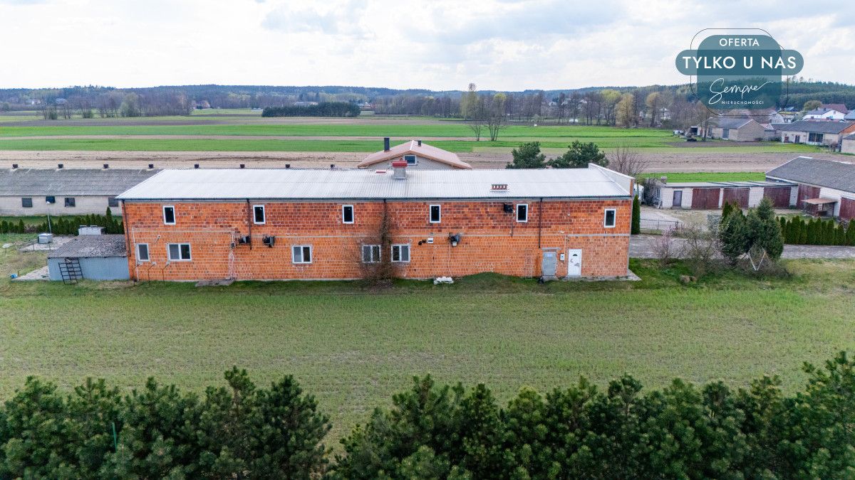 Lokal Polichno. Zdjęcie 10