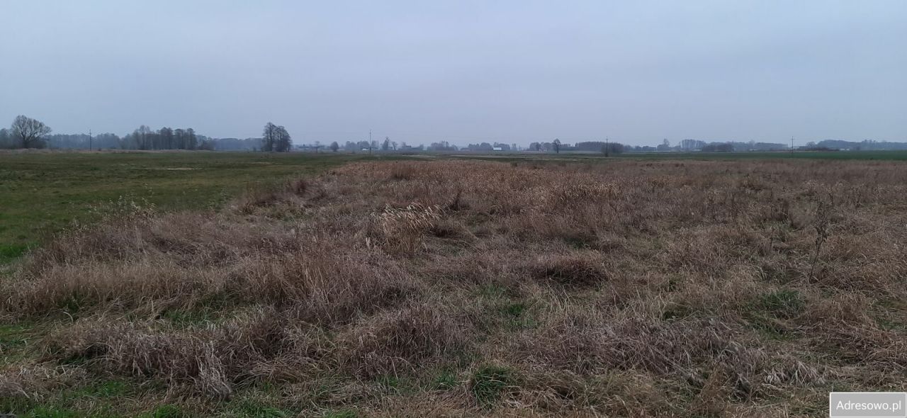 Działka siedliskowa Guzew Nowy Guzew. Zdjęcie 10