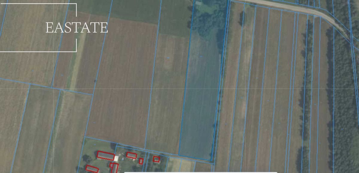 Działka rolna Głogów. Zdjęcie 3