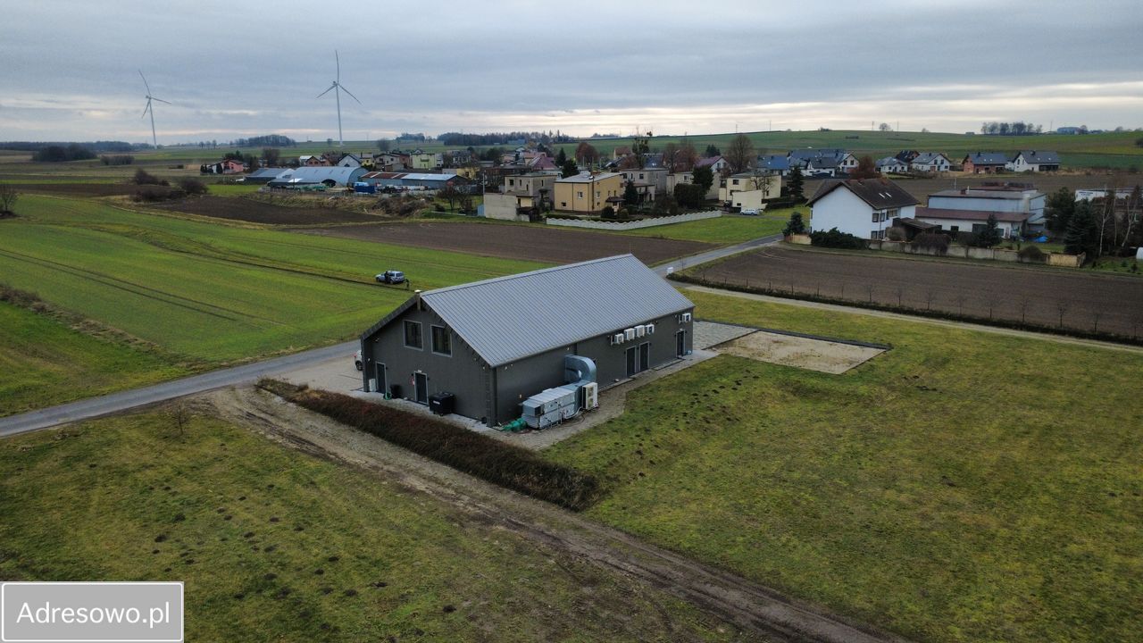 Hala/magazyn Wielowieś, ul. Szafranka. Zdjęcie 10