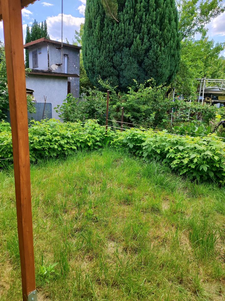 Działka rod Zielona Góra Jędrzychów, ul. Kopciuszka. Zdjęcie 10