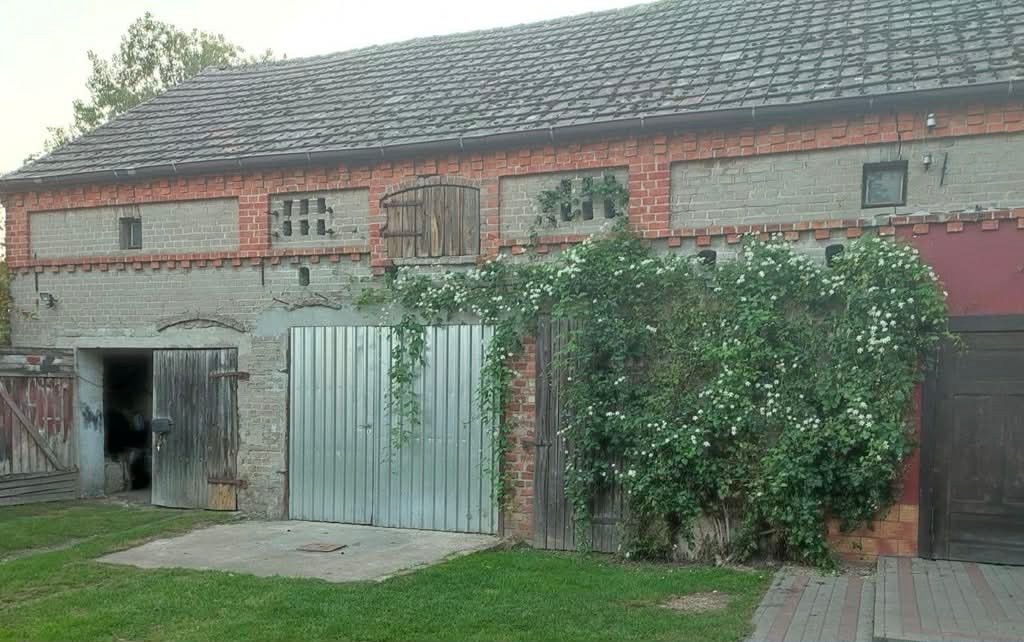 dom wolnostojący, 4 pokoje Węgrzynice. Zdjęcie 4