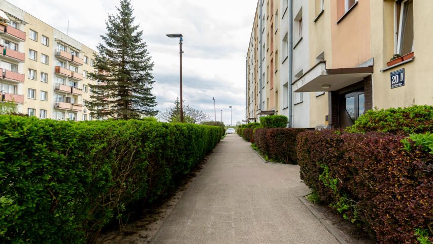 Mieszkanie 3-pokojowe Elbląg, ul. Lotnicza. Zdjęcie 5