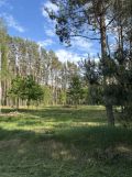 Działka budowlana Polków-Daćbogi. Zdjęcie 1