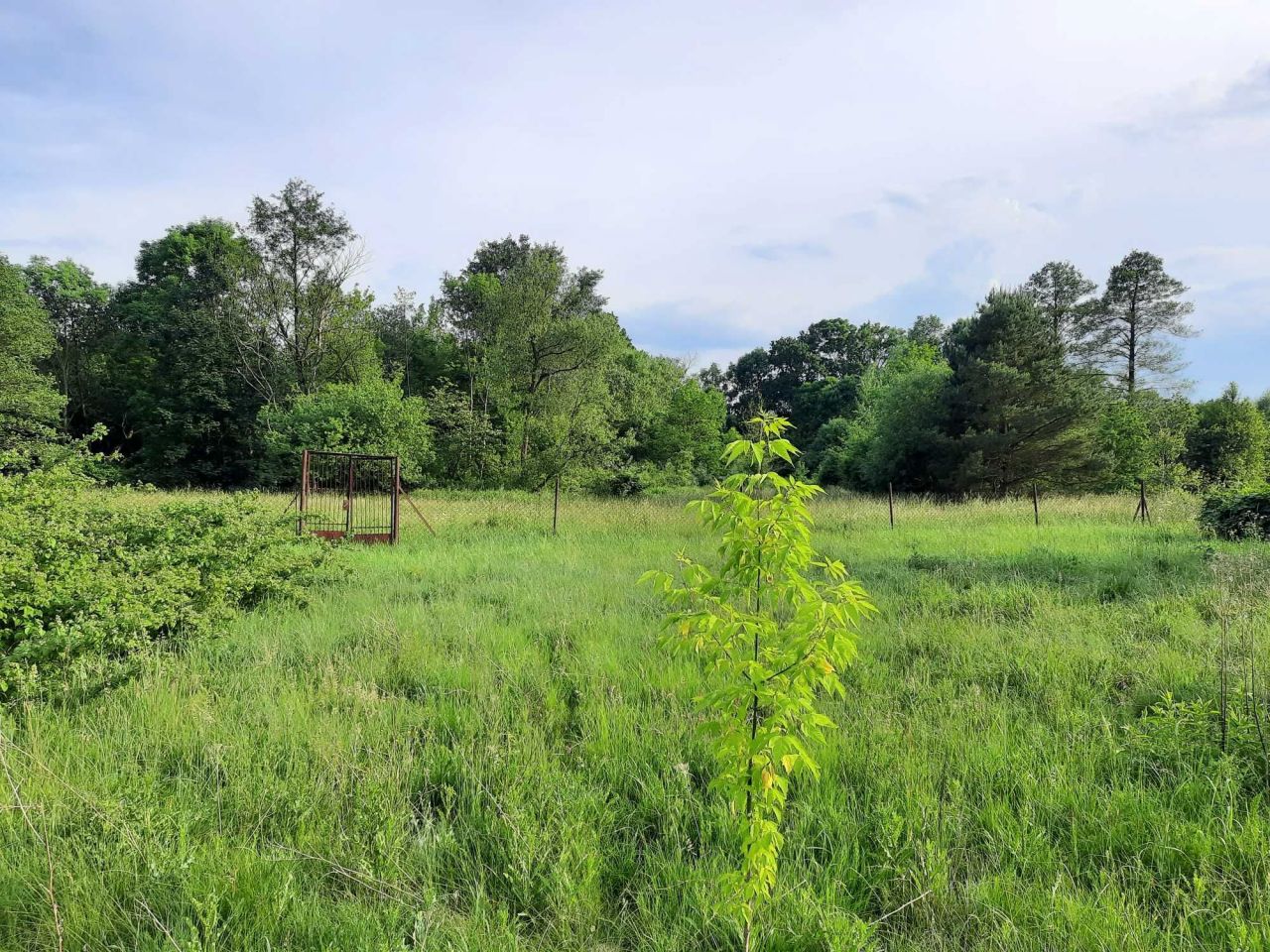 Działka rolno-budowlana Żwirówka. Zdjęcie 8