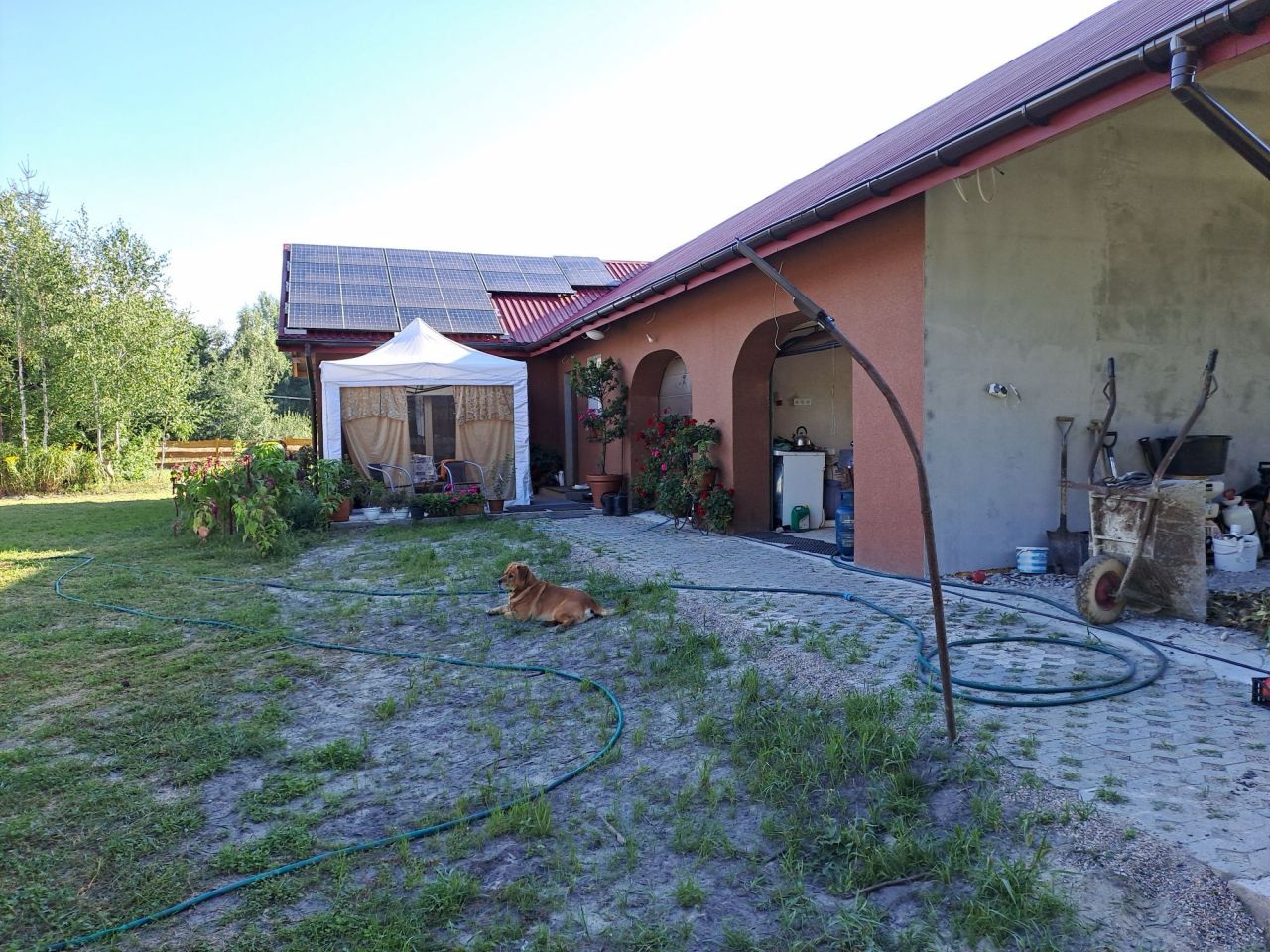 dom wolnostojący Stary Radzic. Zdjęcie 8