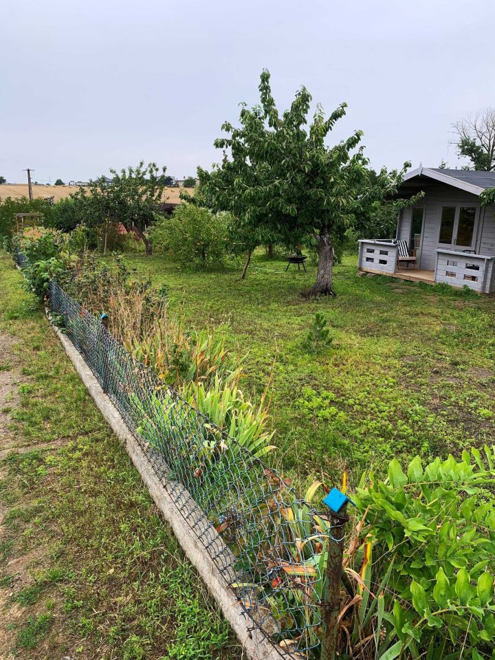 Działka rod Krzywiń. Zdjęcie 6