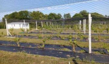 Działka rolno-budowlana Tchórzno