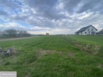 Działka rolno-budowlana Cholerzyn. Zdjęcie 2