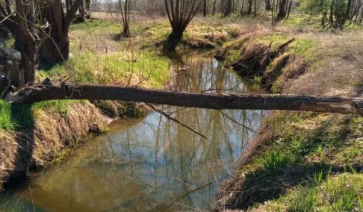 Działka rekreacyjna Brzeźnica, Brzeźnica