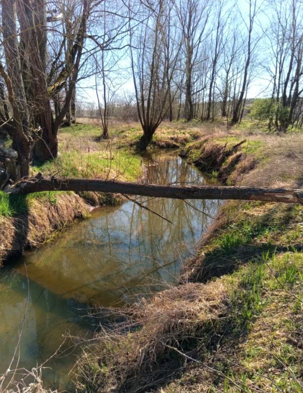 Działka rekreacyjna Brzeźnica, Brzeźnica. Zdjęcie 1