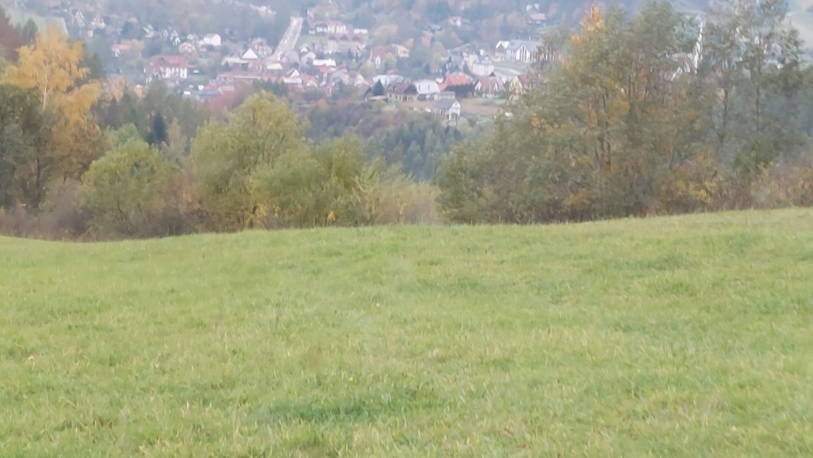 Działka leśna Krościenko nad Dunajcem. Zdjęcie 2