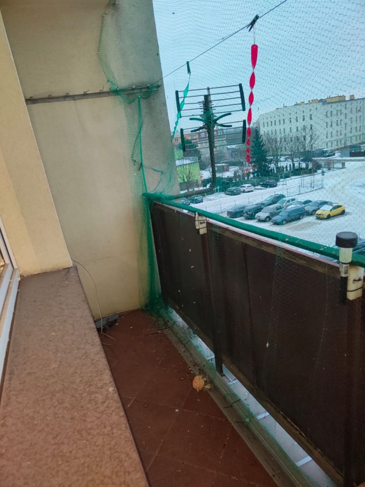 Mieszkanie 3-pokojowe Brzeg Centrum, ul. Piwowarska. Zdjęcie 5