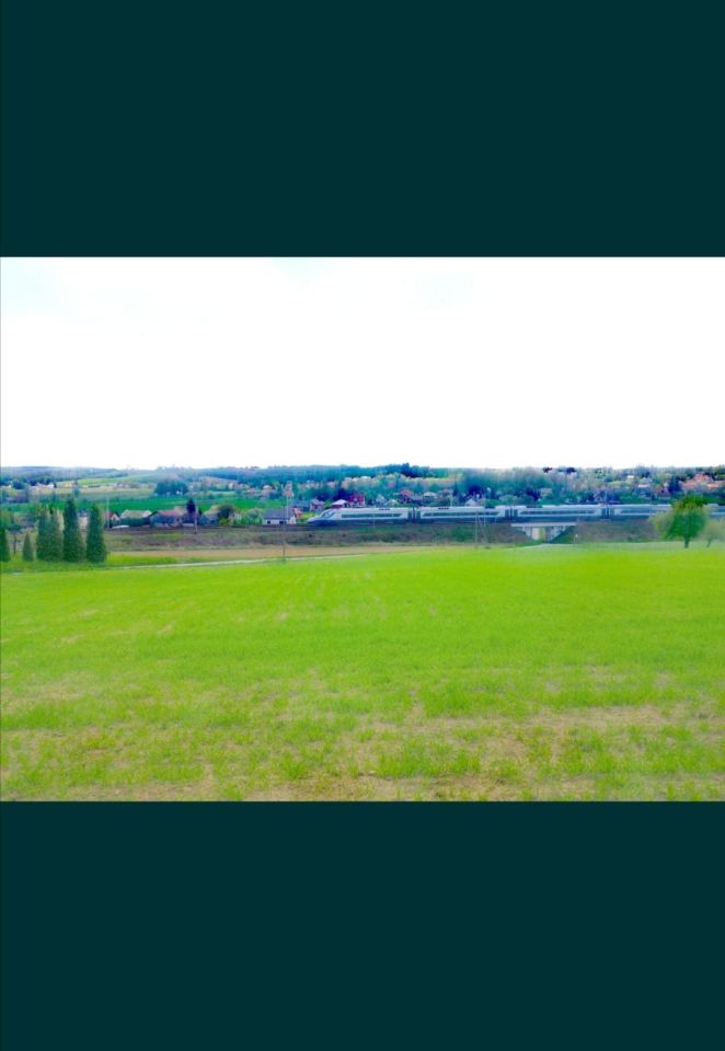 Działka siedliskowa Goszcza, ul. Zatorze. Zdjęcie 1
