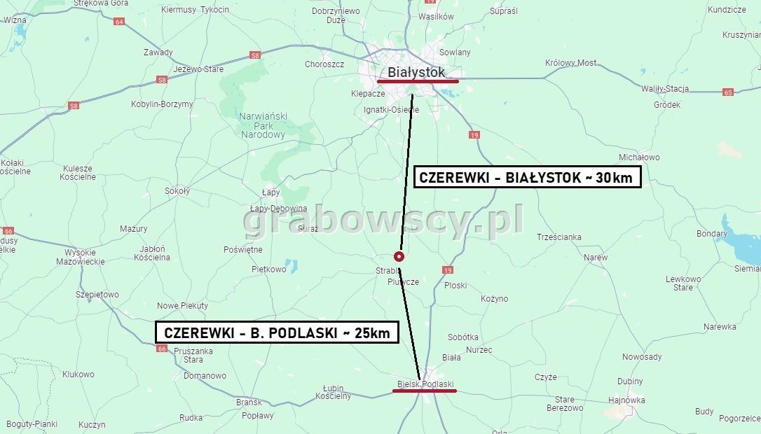 Działka rolna Wojszki. Zdjęcie 10